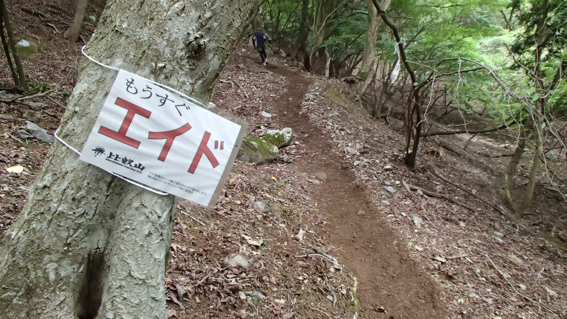 比叡山 International Trail Run2016