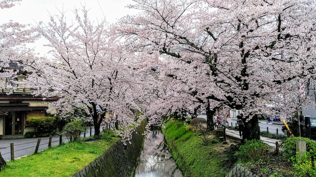 銀閣寺の疎水