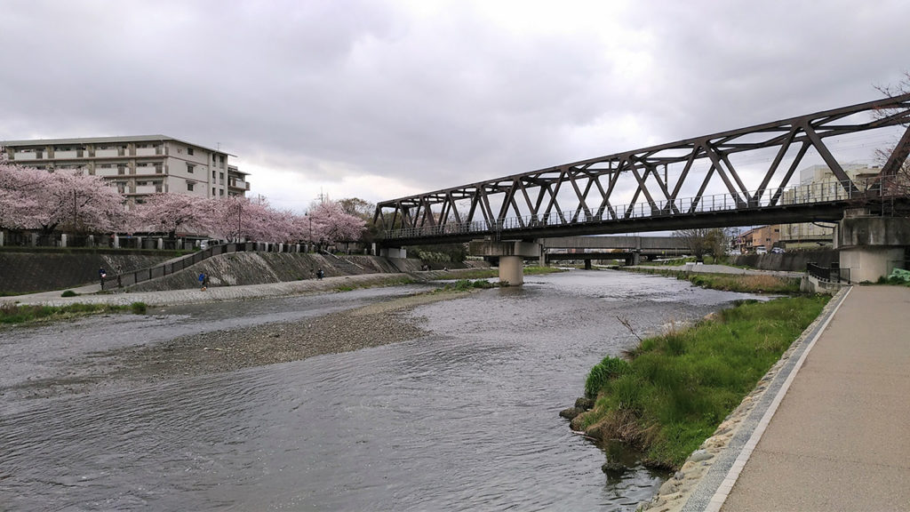 鴨川塩小路橋近く