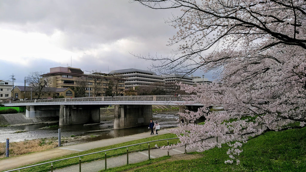 荒神橋