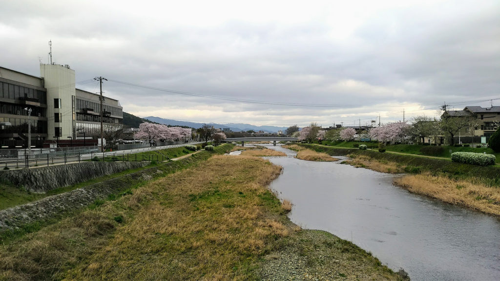 賀茂川MKボウル